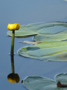 lago di fimon